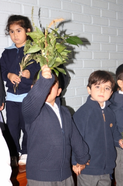 Celebración de Ramos